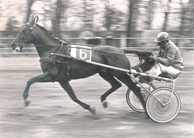 Nestor Roodnoot, aktiv auf der Pferderennbahn Duindigt im Jahr 1975