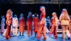 BirdPackVeerkracht-260125-37